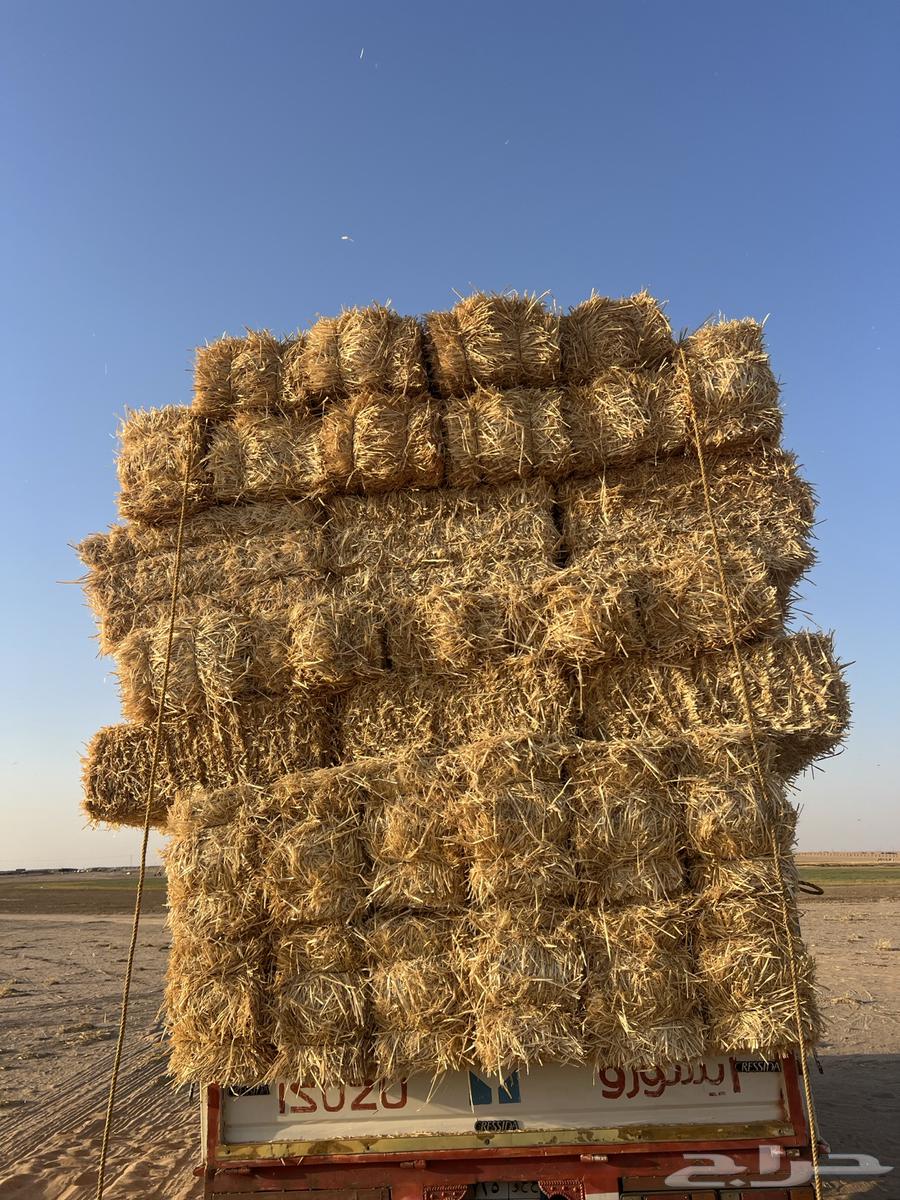 تبن بر صافي ناعم64419278513282113