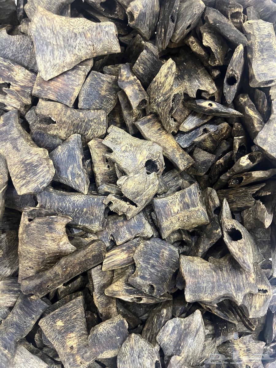 عود طبيعي كينامي فاخر دبل سوبر64421120752386110