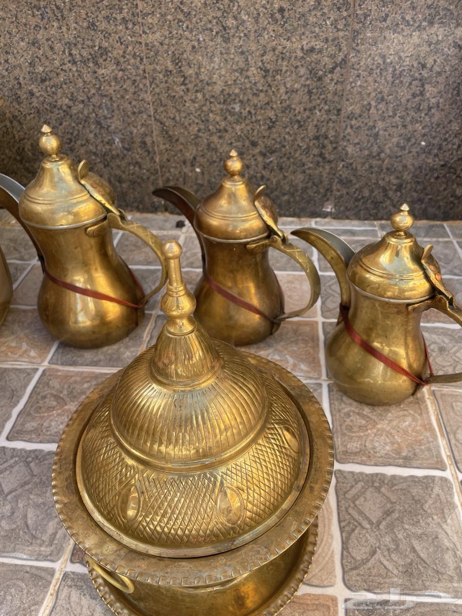 دلال ( حبش ) سوريه على السوم64424950276355112