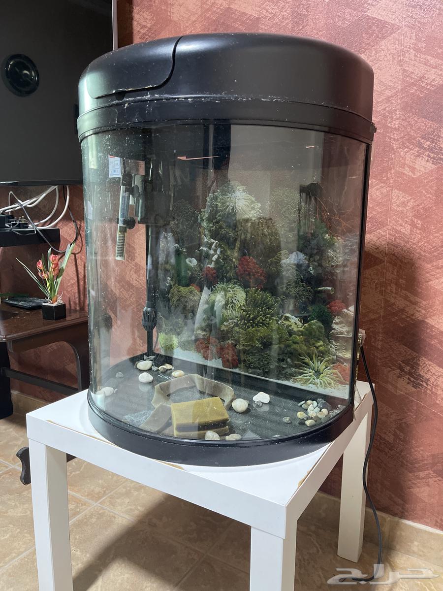 Aquarium with filter and heater64422232472193110
