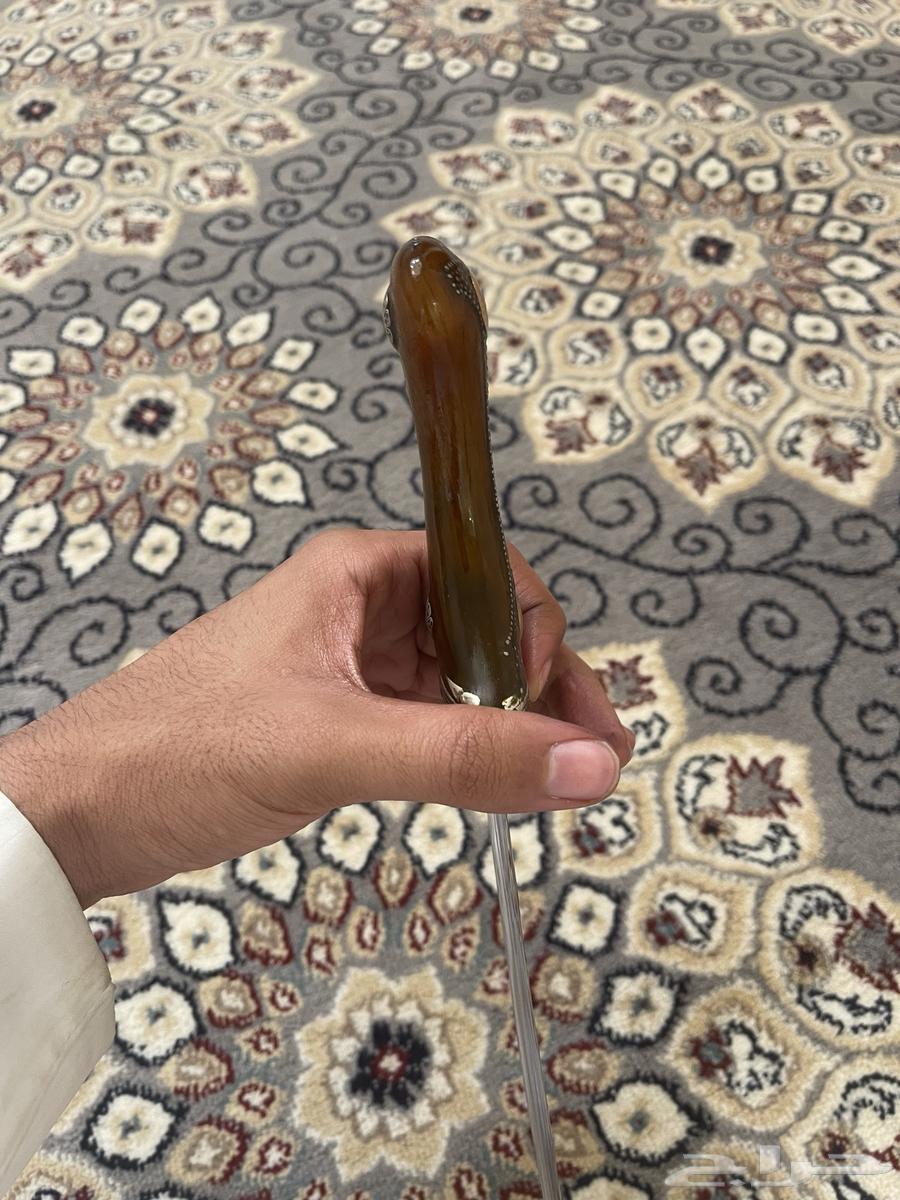 للبيع جنبية زراف حضرميه من الزراف64420864693123114