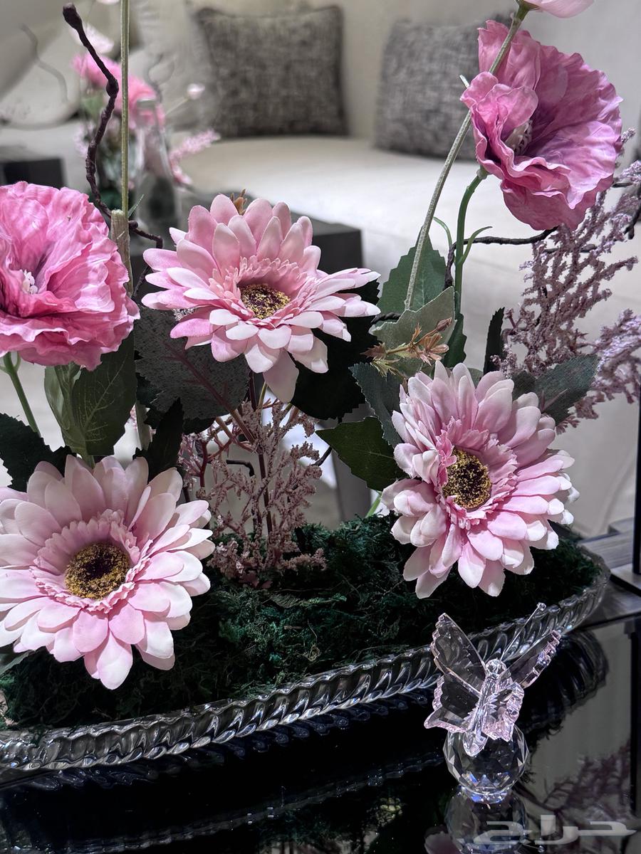 ستاند ورد  شبكه   مواليد حفلات تخرج64419278537985114