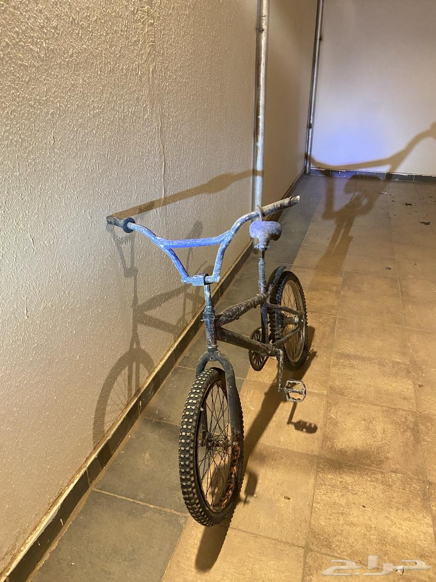 تبوك64425340552065111