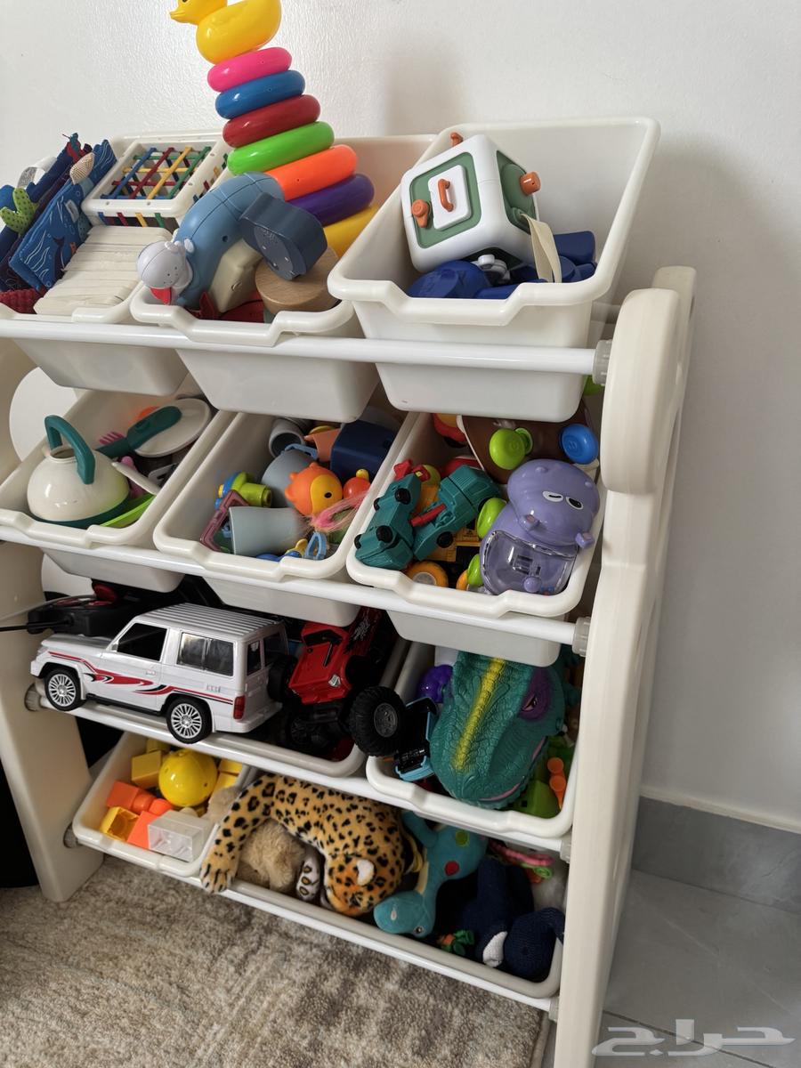 منظم العاب64422975850115111