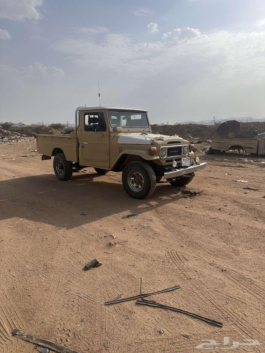 جيب المديل64584911885953111