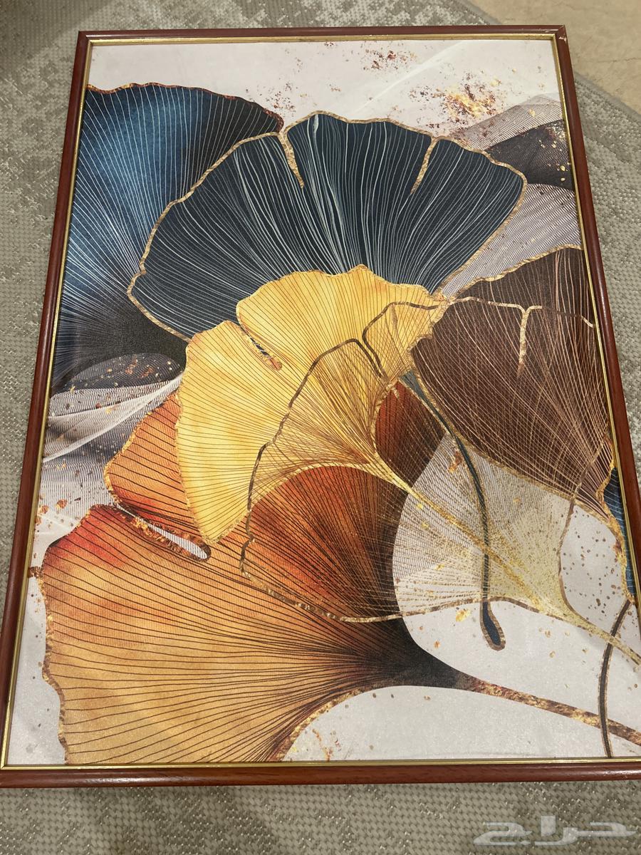 لوحات جدارية بشكل مميز64424388427523111