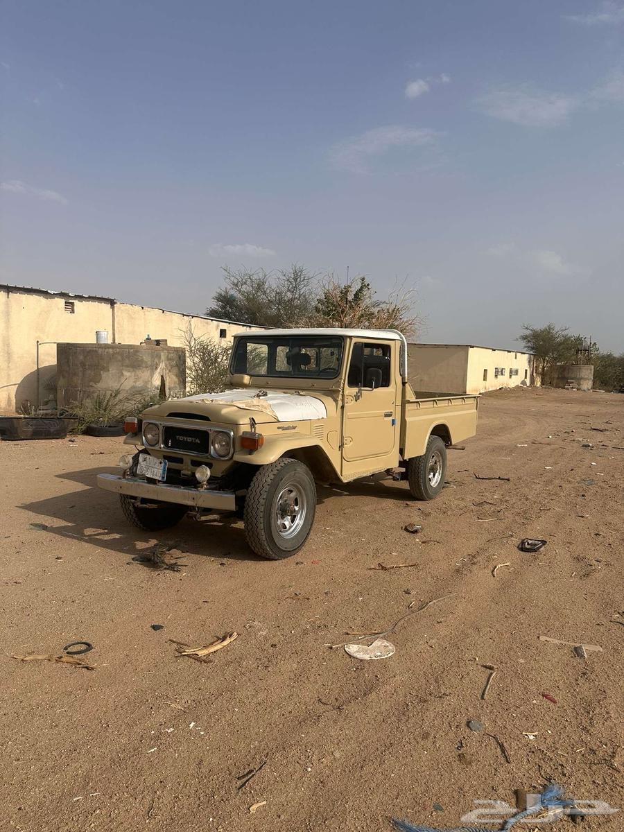 جيب المديل64584911885953112