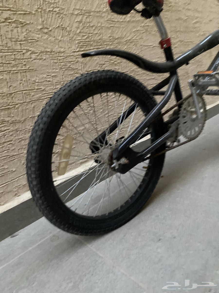 Hello, Cobra bicycle black color size 20 bicycle64424172593282113