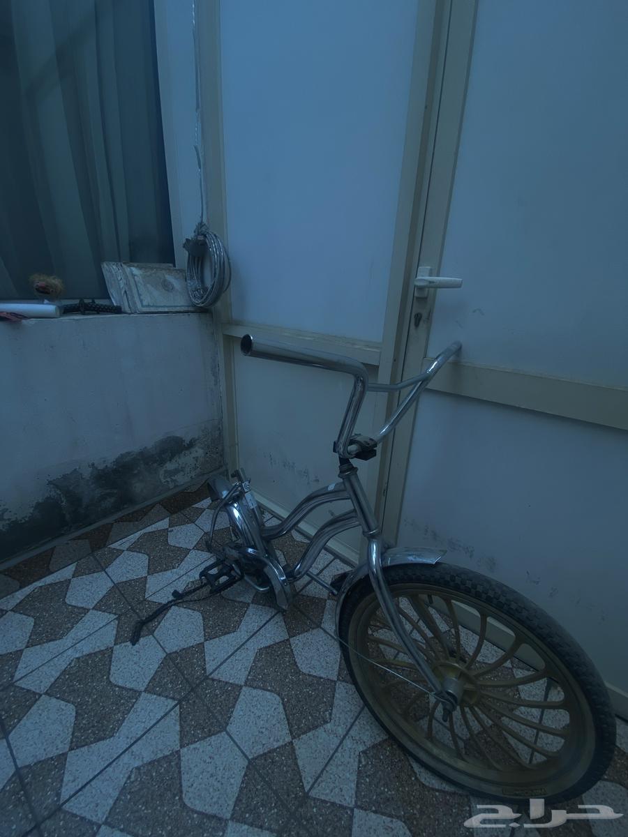 سيكل فراشه للبيع64422571624963111