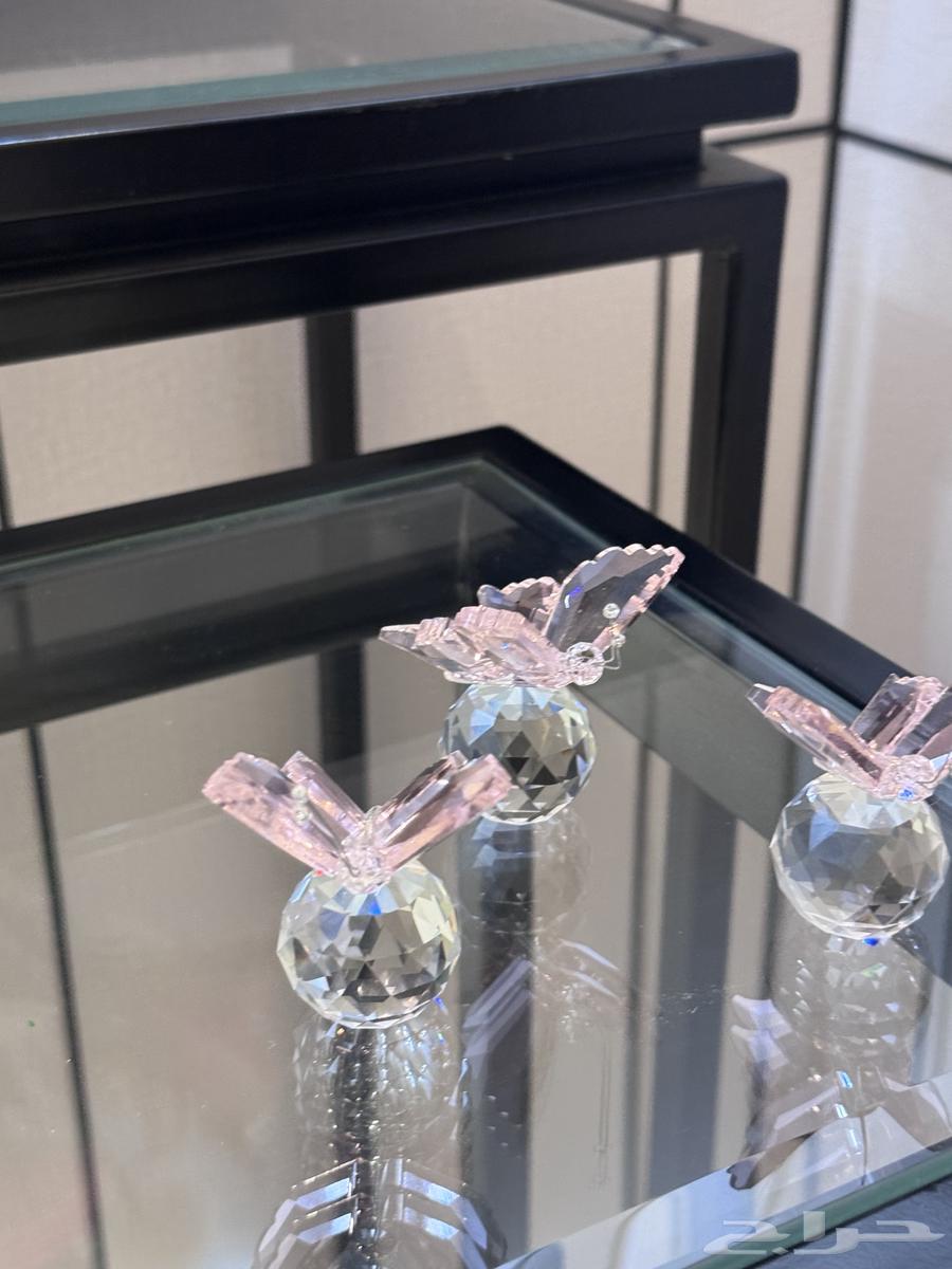 ستاند ورد  شبكه   مواليد حفلات تخرج64419278537985113