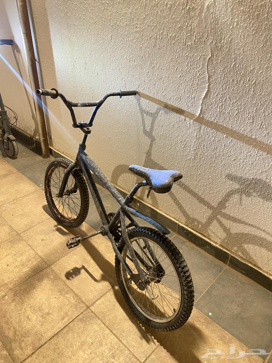 تبوك64425340552065110