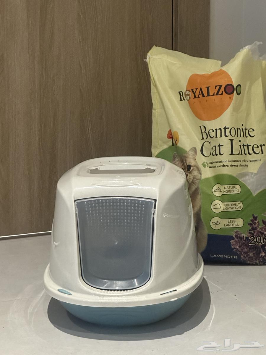 ليتر بوكس قطط لللبيع64421337364226110