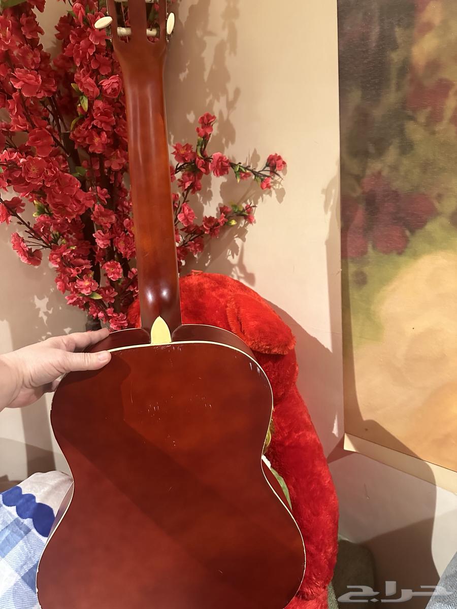 آلة موسيقية64419564223747111