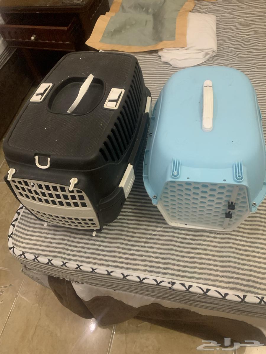 2 بوكس قطط64420418285058111