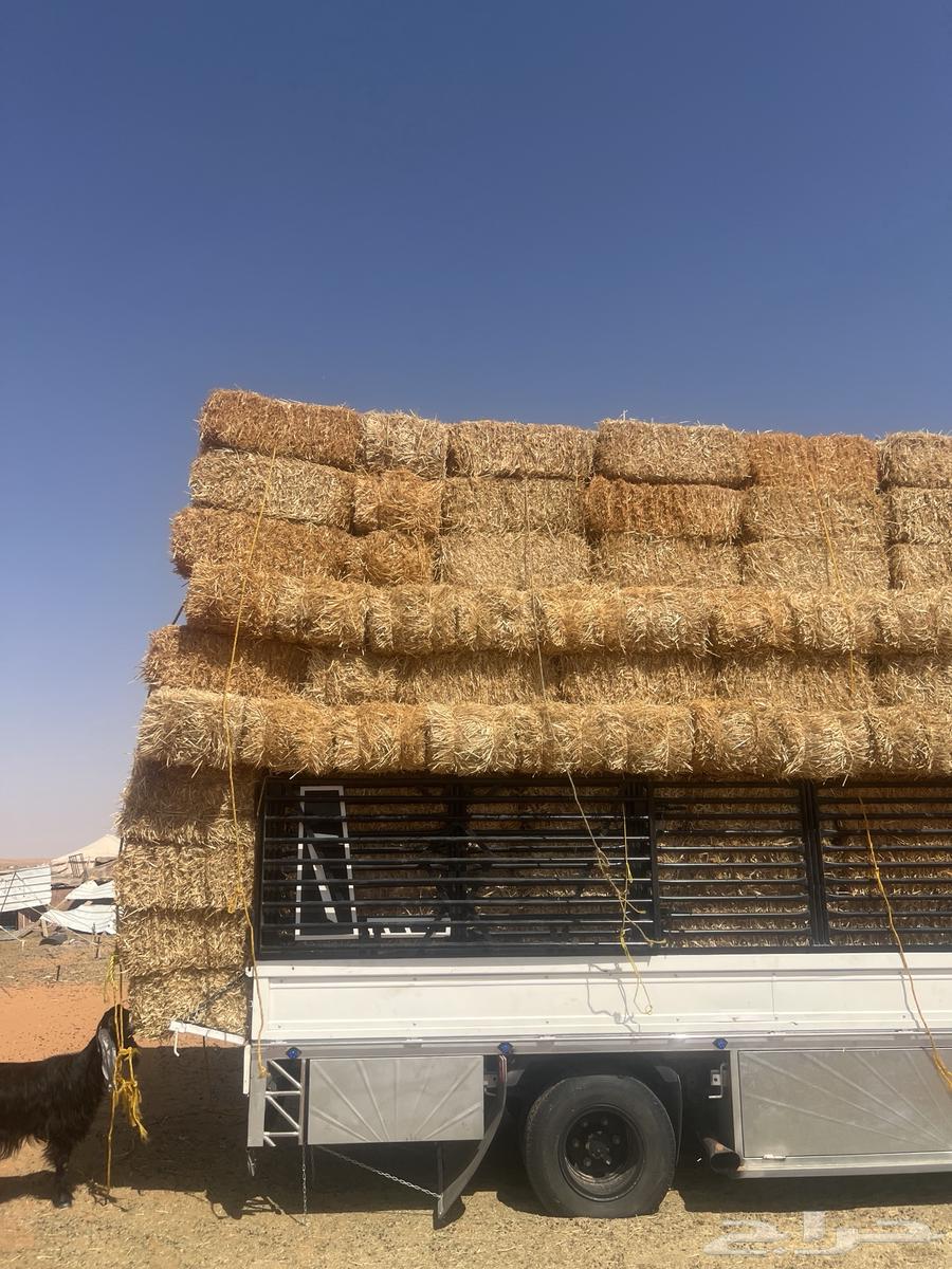 تبن بر64421418649985110