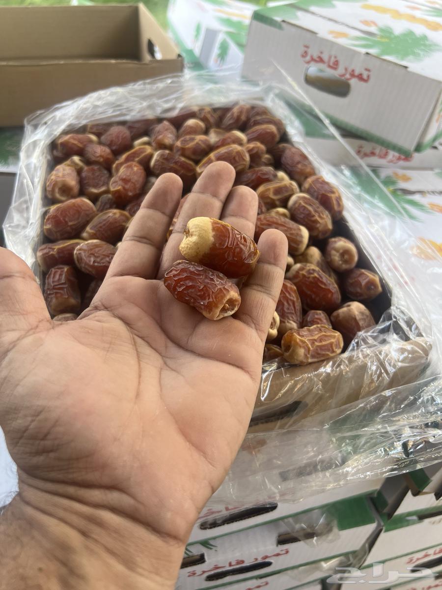 صقعي فاخر درجة اولى الوزن 3 كيلو ب100 ريال64423622854657110