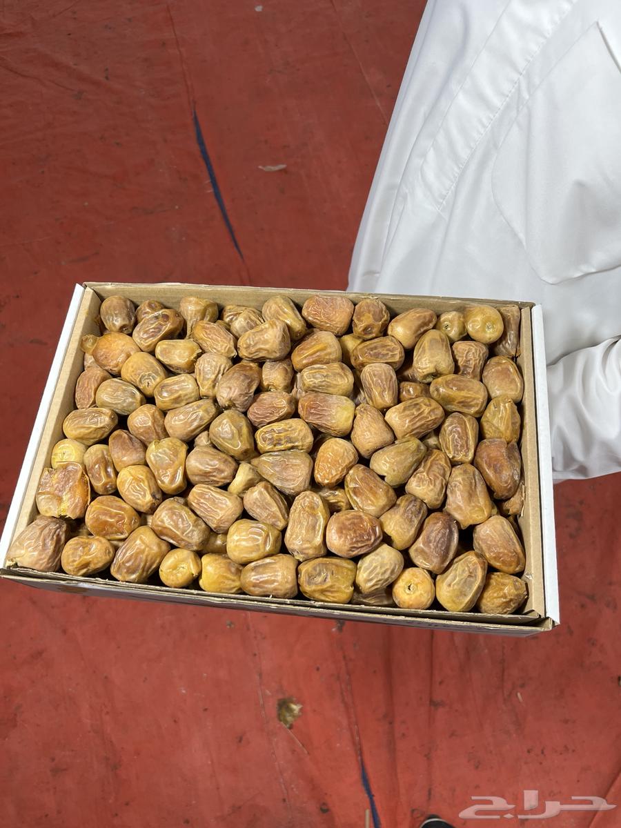 Number 1 premium quality soft date64425205975298111