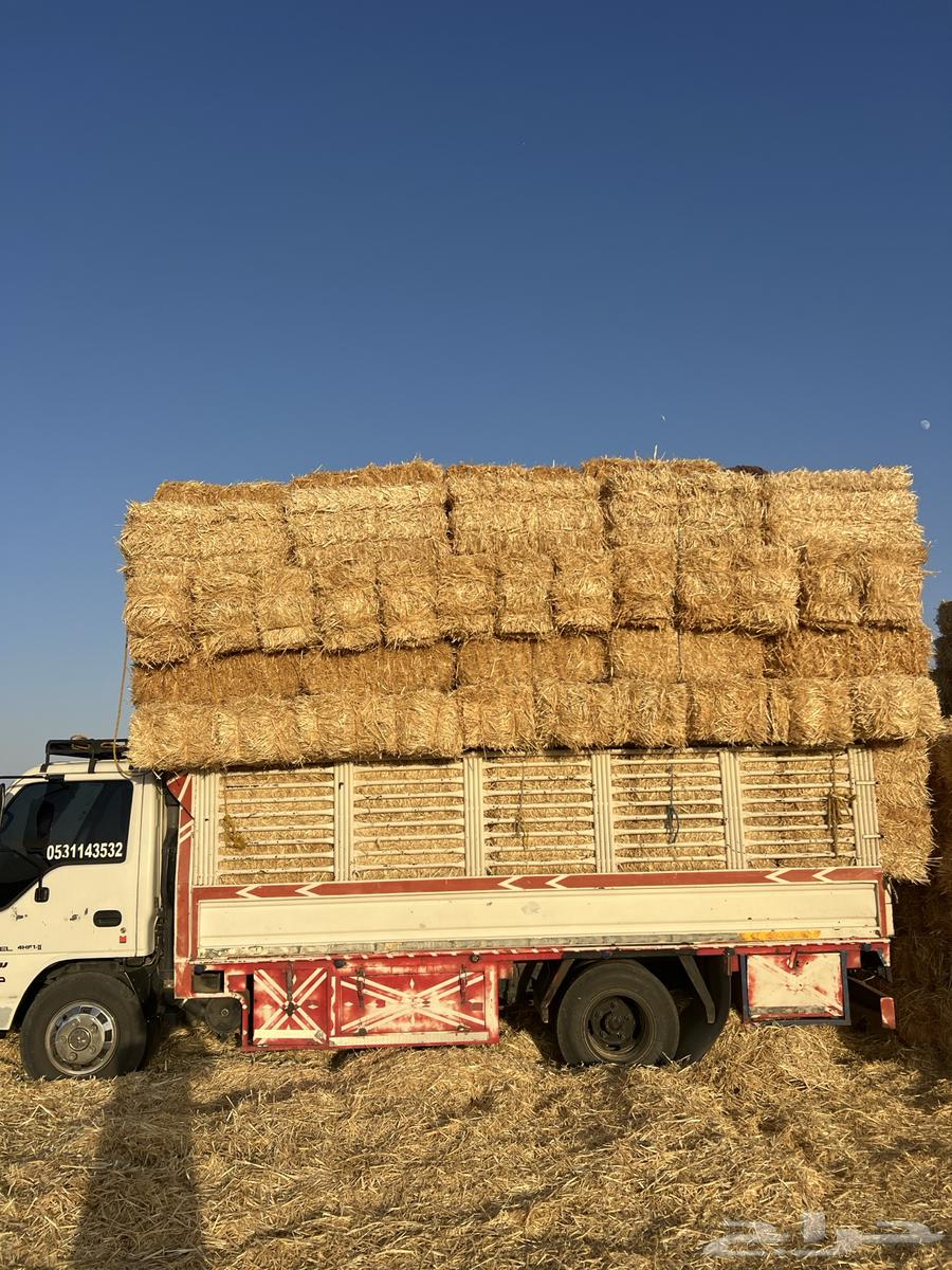 تبن بر صافي ناعم64419278513282110