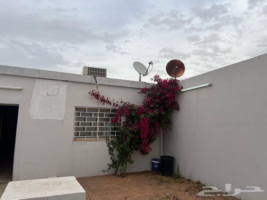 ايجار64141833580035111