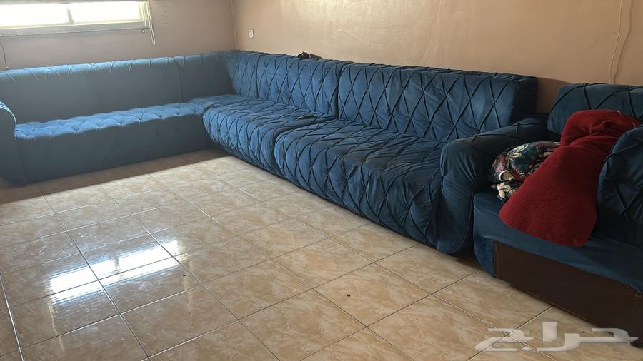 Sofa64421716281986110