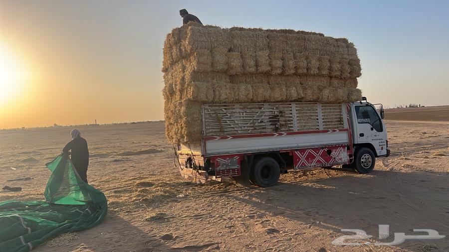 تبن بر صافي ناعم64419278513282114