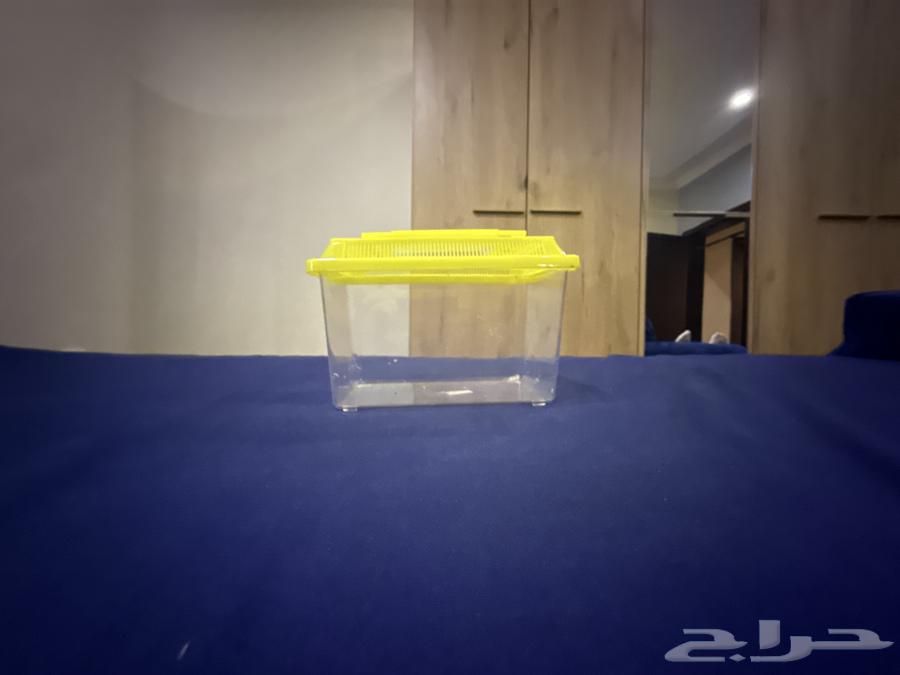 حضانه صغيره للطيور للبيع64423770690179111