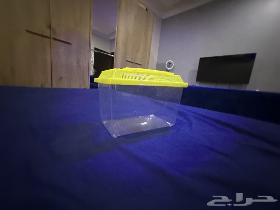 حضانه صغيره للطيور للبيع64423770690179113