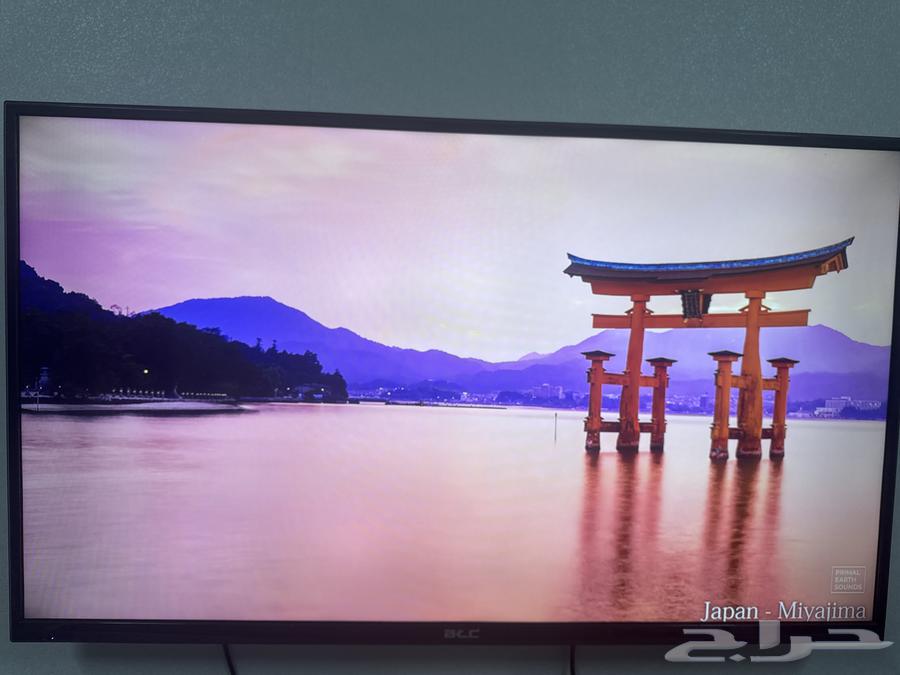 شاشة 50 بوسة HD LEDبحالة ممتازة64424415469441113