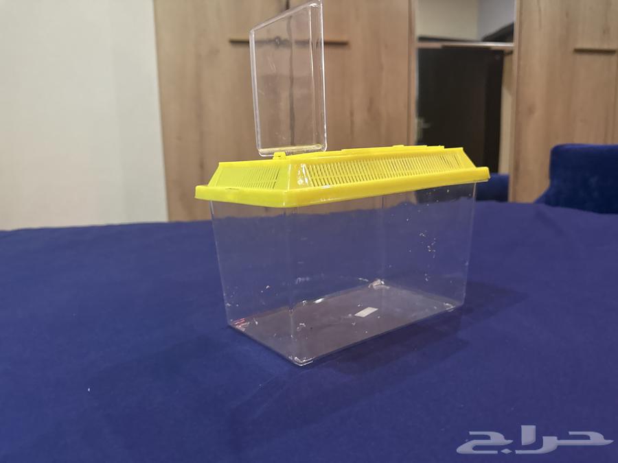 حضانه صغيره للطيور للبيع64423770690179114