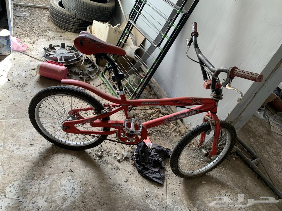 دراجة كوبراء مقاس 2064419906110339110