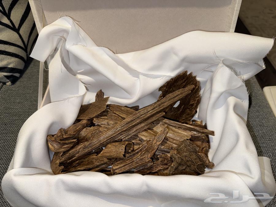 عود كلمنتان مالينو نوادر قديم جدا (السعر صيده) - تم البيع64425999461249110