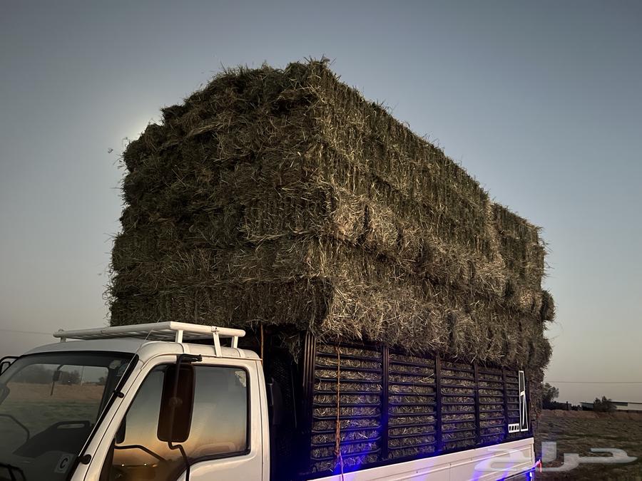 رودس صافي ونعم64425946347265110