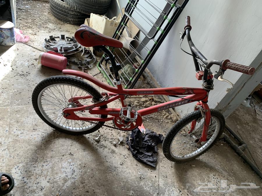 دراجة كوبراء مقاس 2064419906110339111