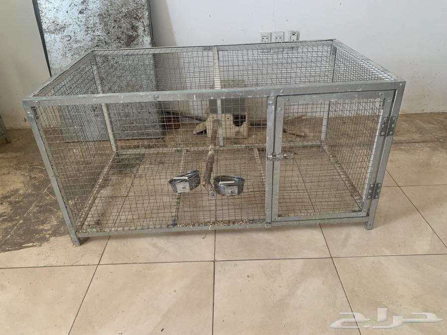 قفص طيور تفصيل64405943725059111