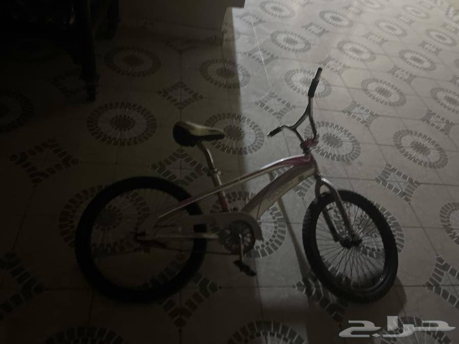 Cobra bicycle size 24, the rear tire is punctured but still usable64424692863107110