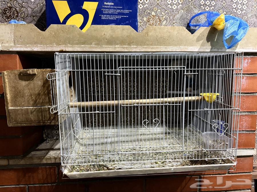 قفص طيور كبير حجم 61064425421711361110