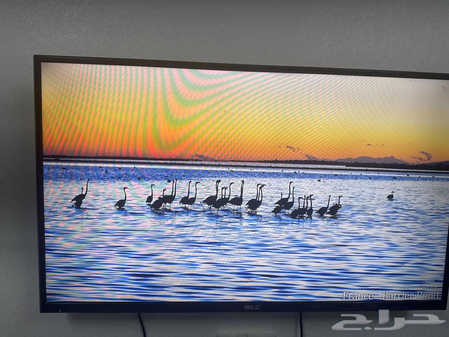 شاشة 50 بوسة HD LEDبحالة ممتازة64424415469441112