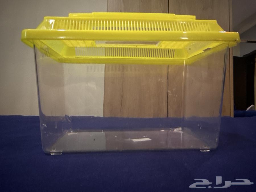 حضانه صغيره للطيور للبيع64423770690179110