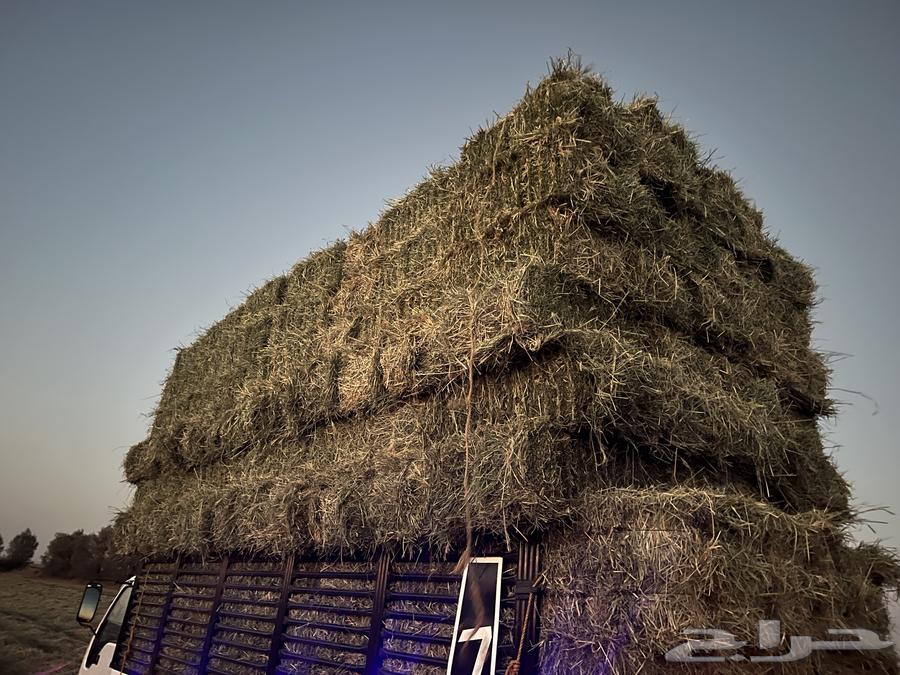 رودس صافي ونعم64425946347265111