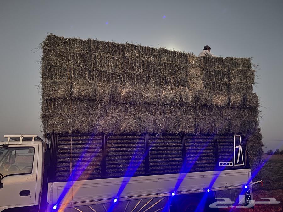 رودس صافي ونعم64425946347265112