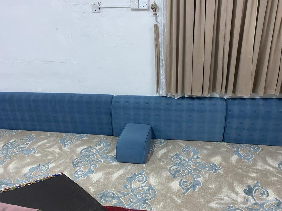 مساند لونهن ازرق للبيع64419238371202110