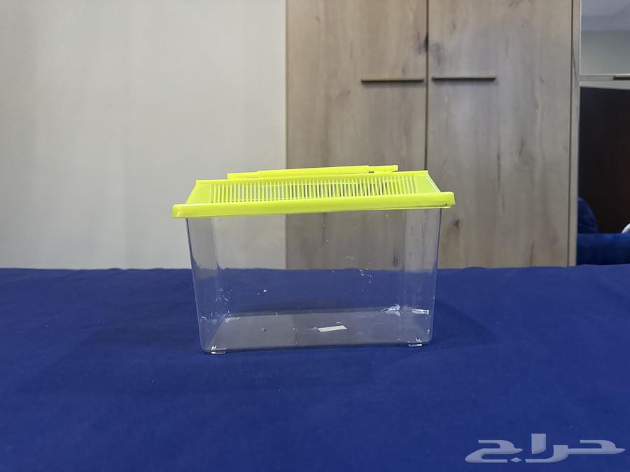 حضانه صغيره للطيور للبيع64423770690179112