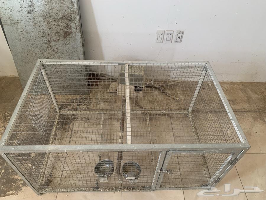 قفص طيور تفصيل64405943725059110