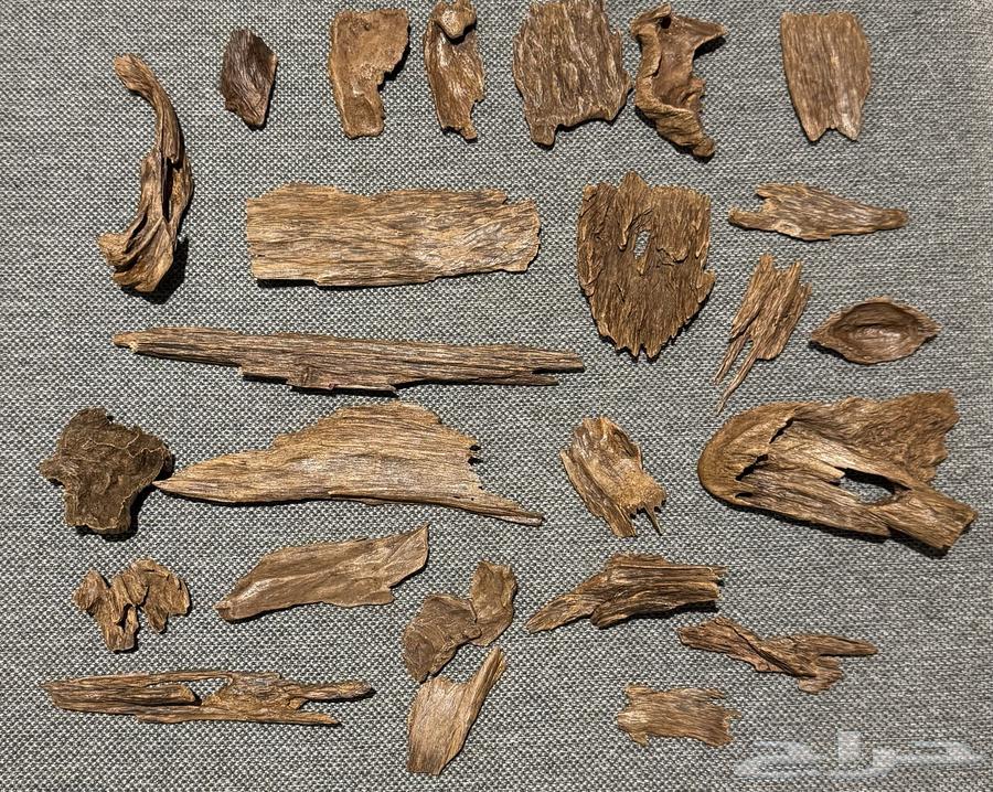 عود كلمنتان مالينو نوادر قديم جدا (السعر صيده) - تم البيع64425999461249114