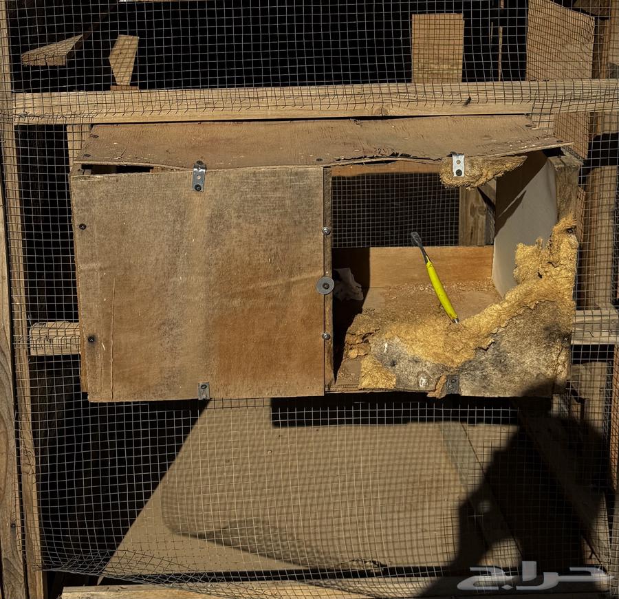 قفص خشب للأرانب والدجاج64423038135553111