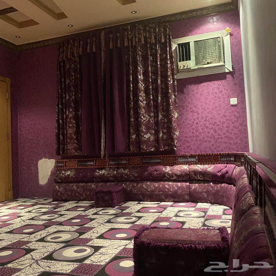 New sofa, user's brother64425206055299111