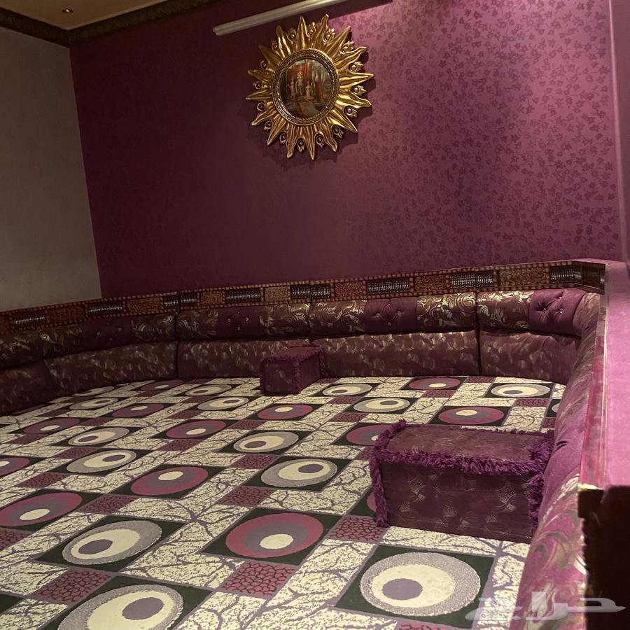 New sofa, user's brother64425206055299110