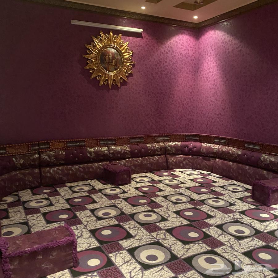 New sofa, user's brother64425206055299113