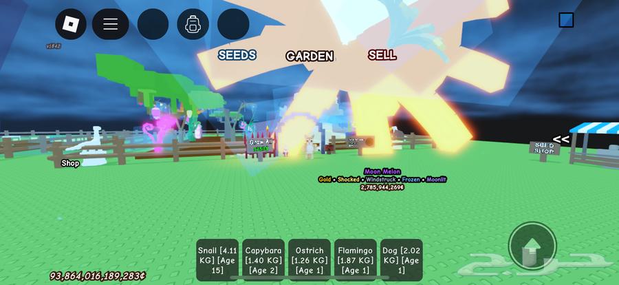 حساب بلوكس فروت متعوب عليه64419647106818110