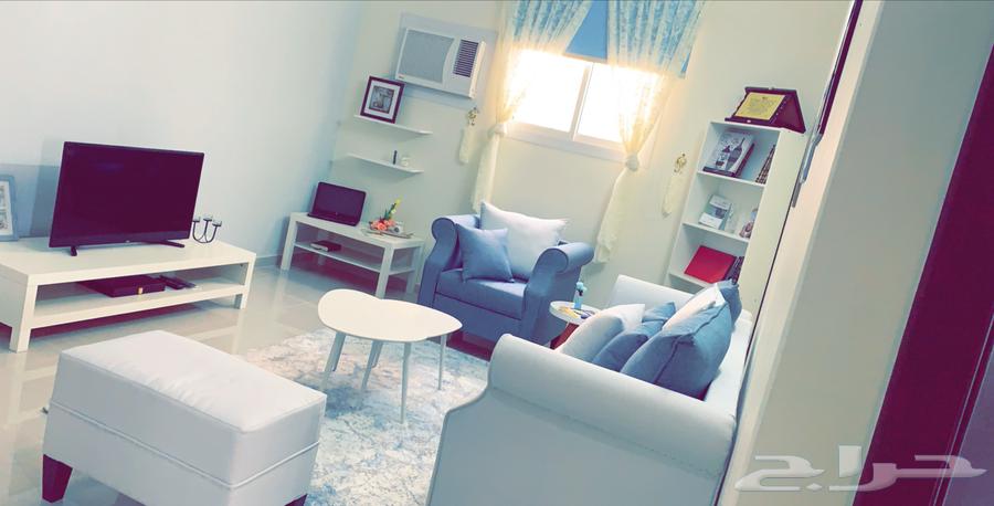 Sofa ..64421919708801111